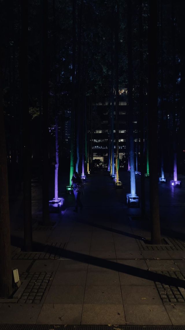 Night garden 