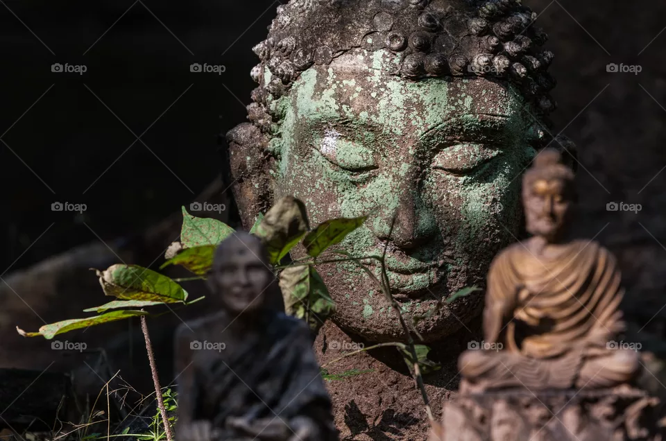 Peaceful Buddha in nature, peace and serenity