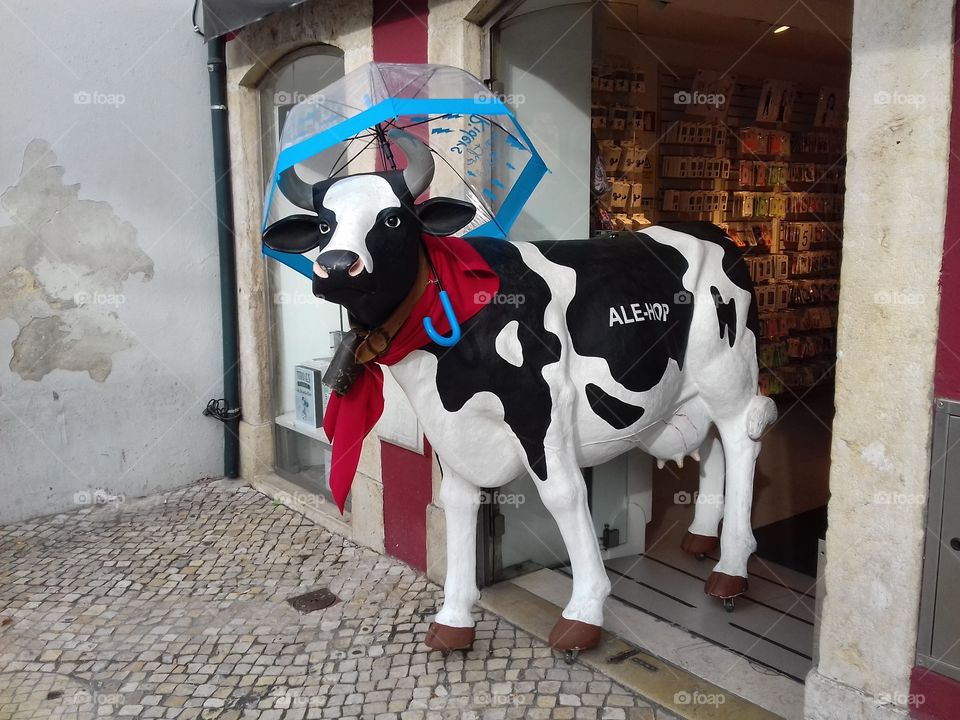 Pastéis de Belém Lisboa Portugal