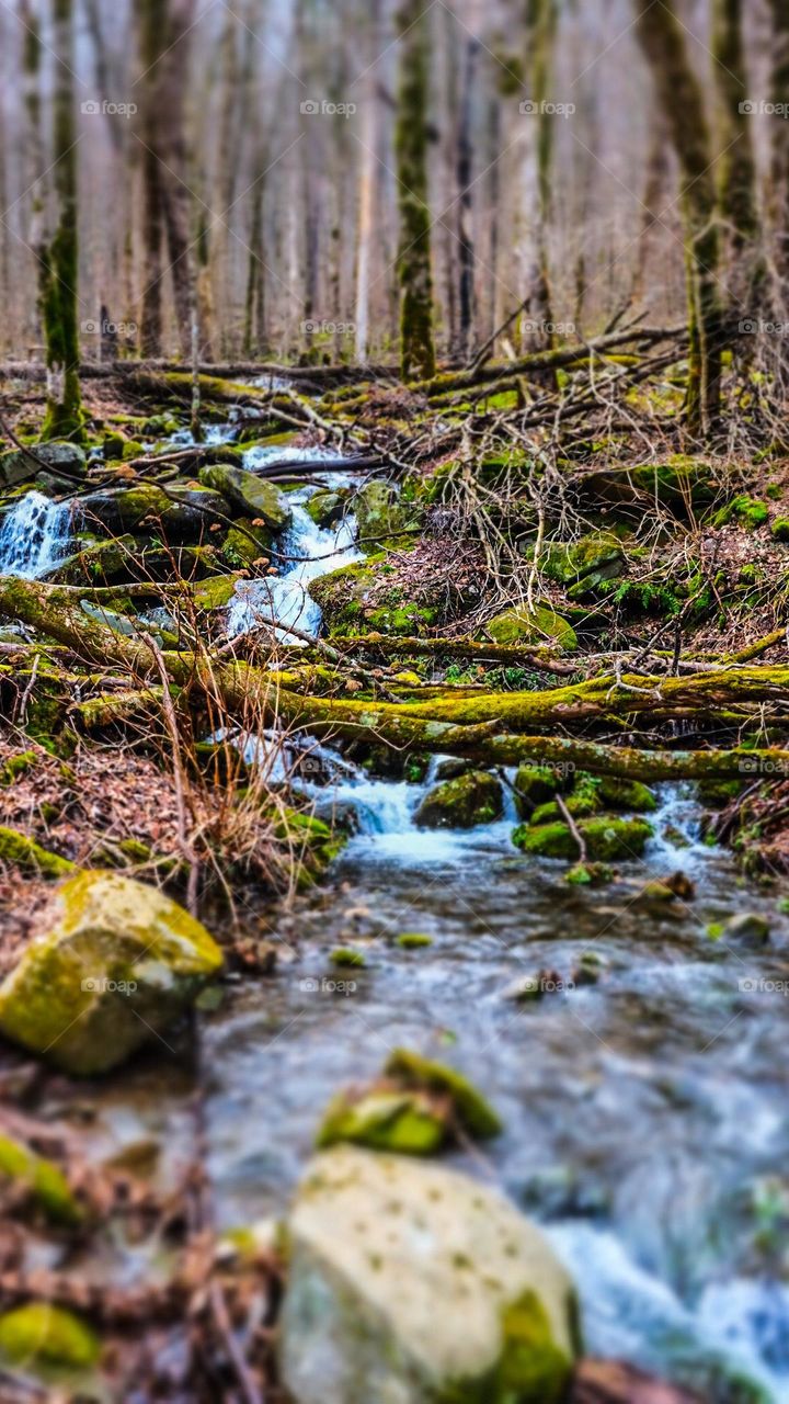 Mountain streams in Tennessee 