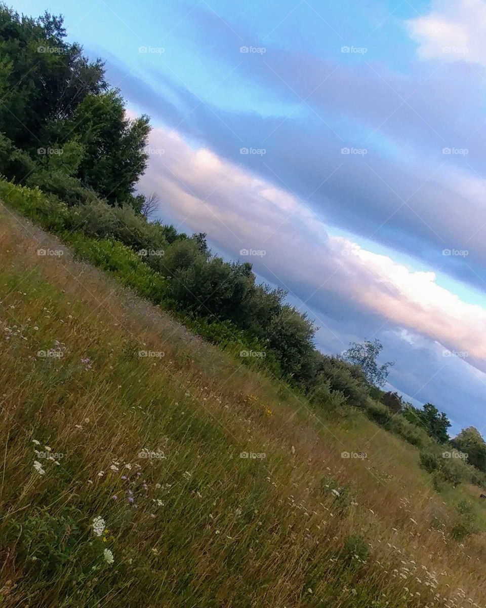 Landscape, Nature, Sky, Tree, Wood