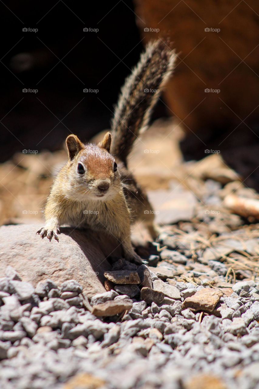 “Be playful - it’s okay to be a little cheeky…”