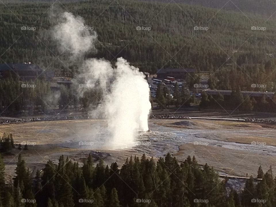 Old faithful geyser in Yellowstone NP