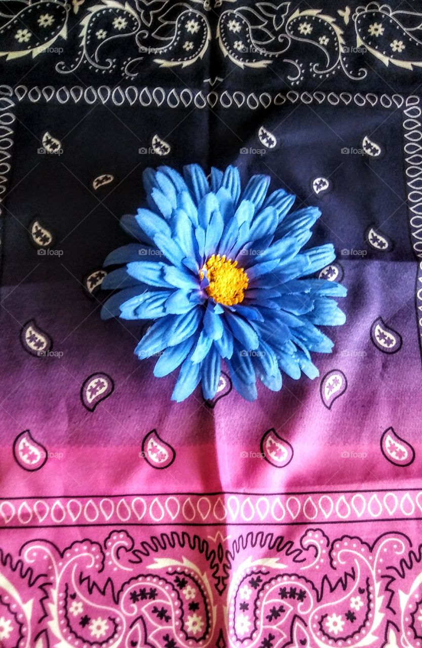 Blue on pink and purple