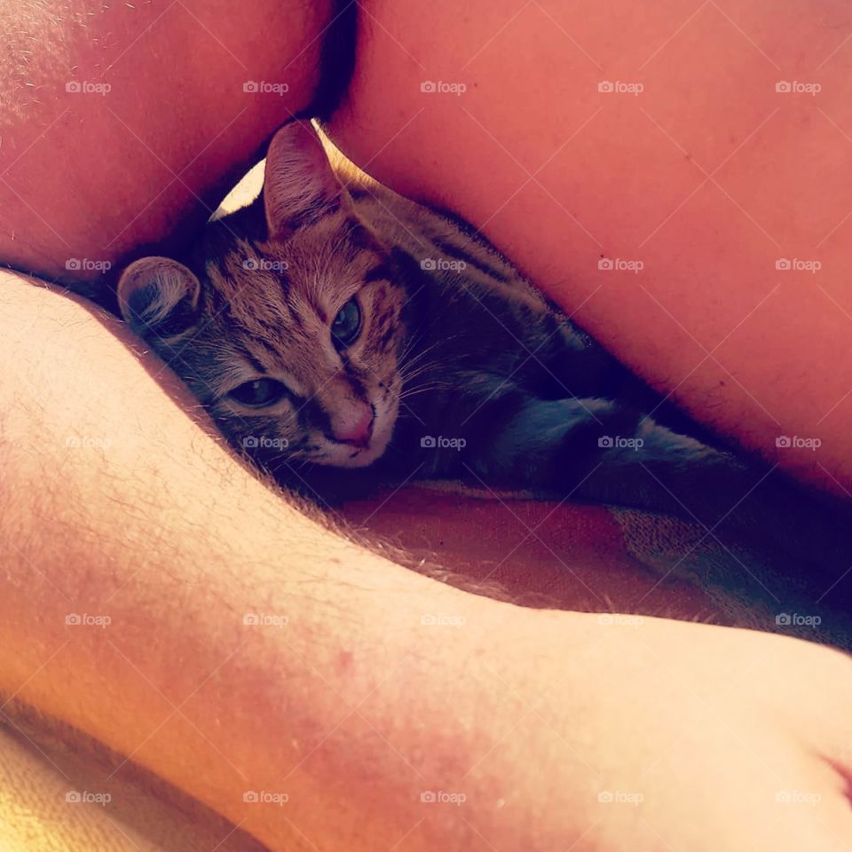 Kitty Cat catching some shade