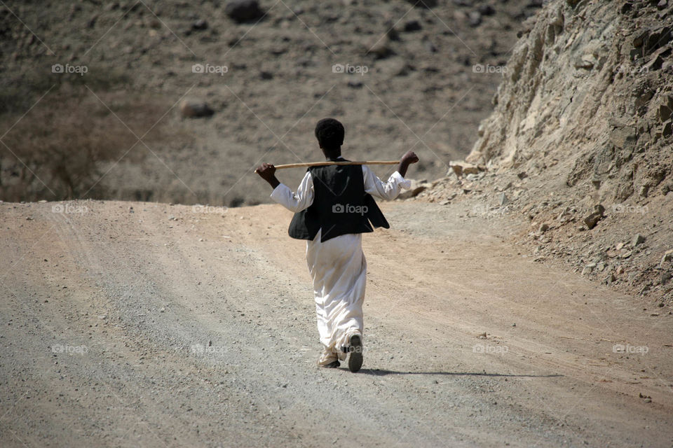 ثور من السودان