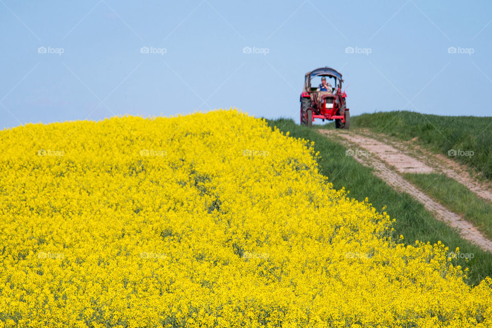 Farmer and his fields 