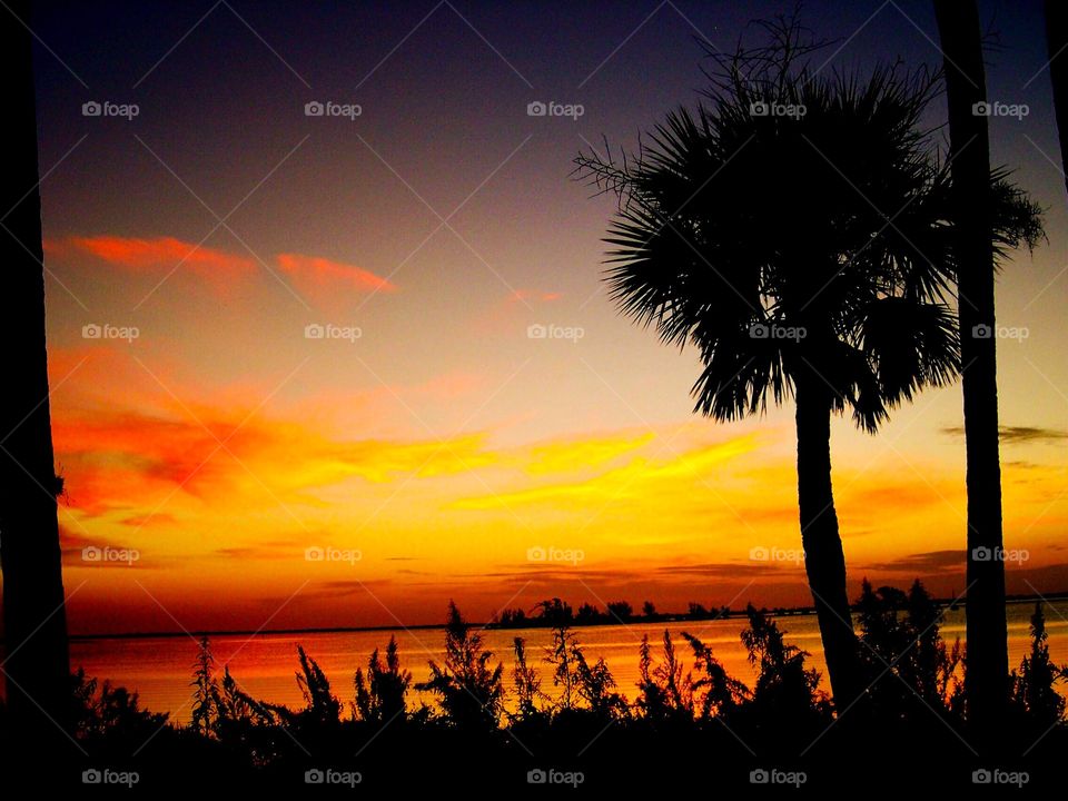 Sunset along the river in Florida. 