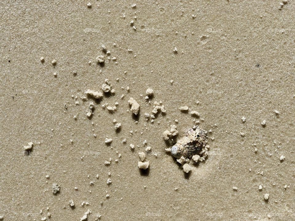 Loose sand kicked across smooth packed wet sand 