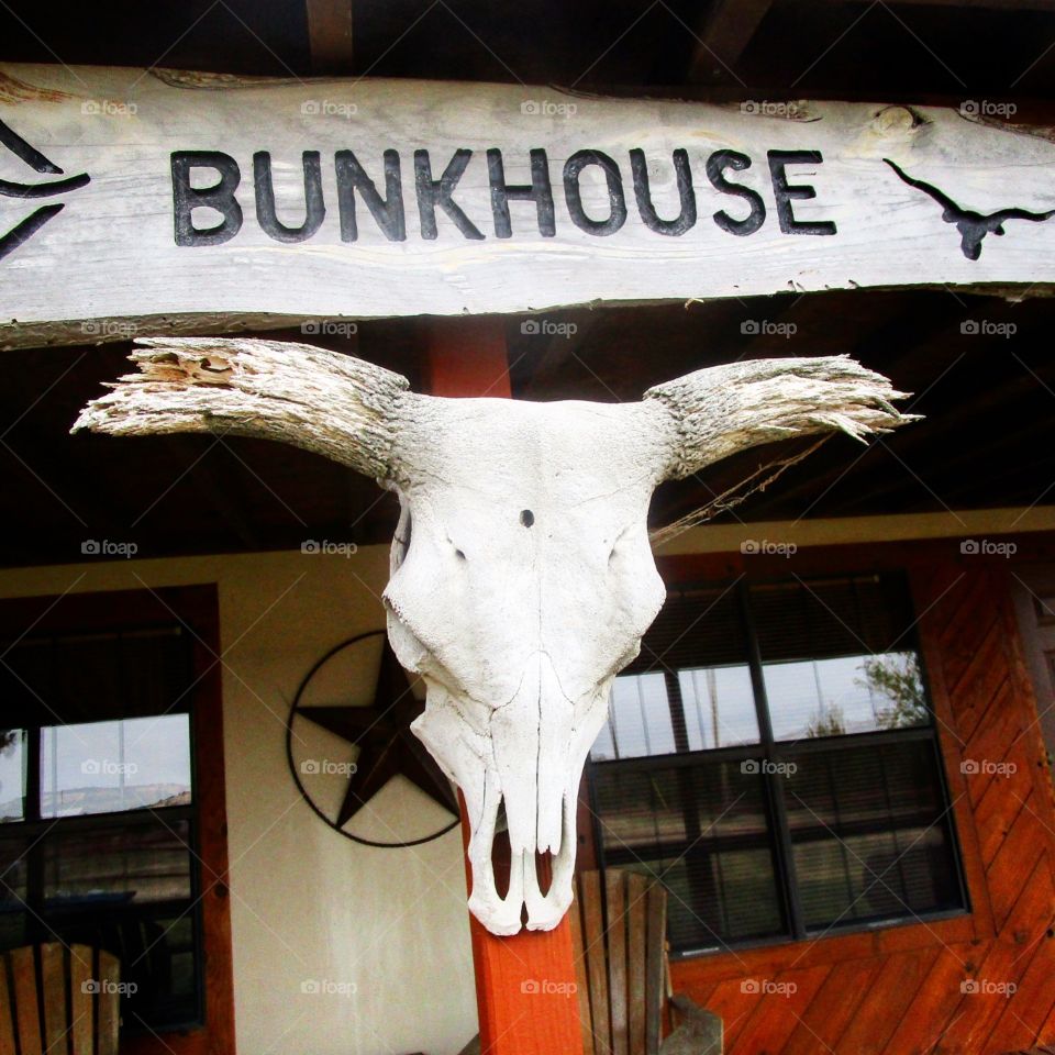 Texas panhandle veteran hunting grouurj