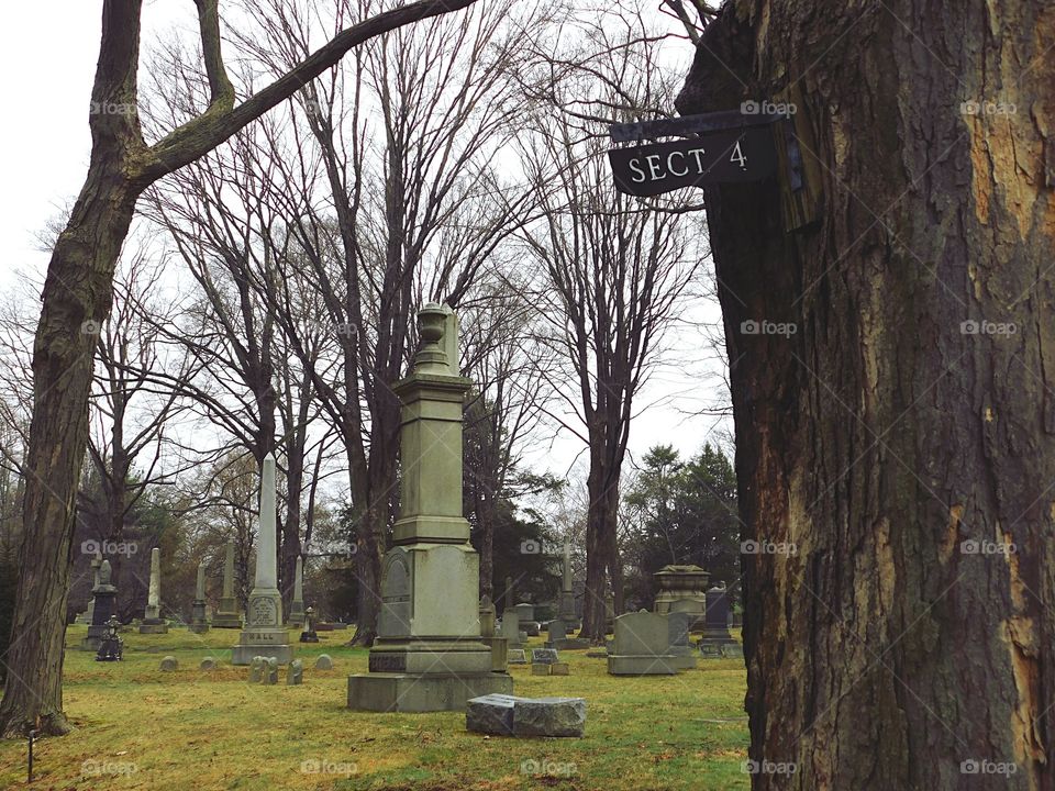 Mountain Grove Cemetery in Fairfield, CT