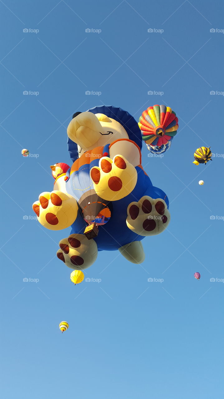 Dog balloon
