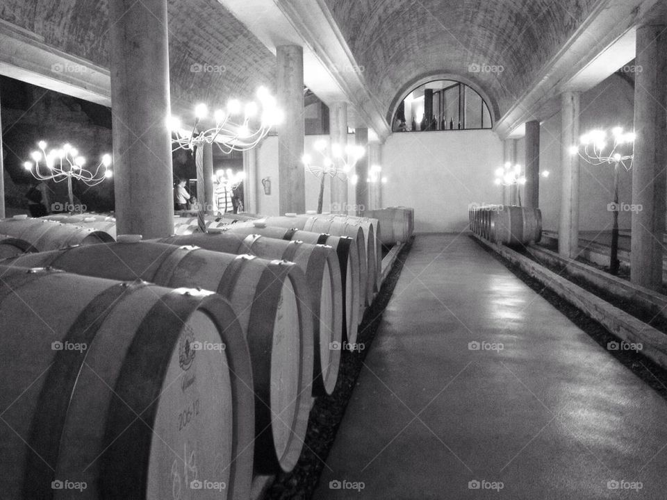 Bodega Viñas del Vero