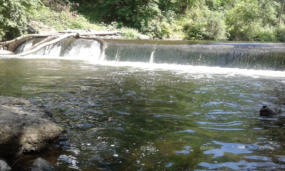 Fishing spot of the day!