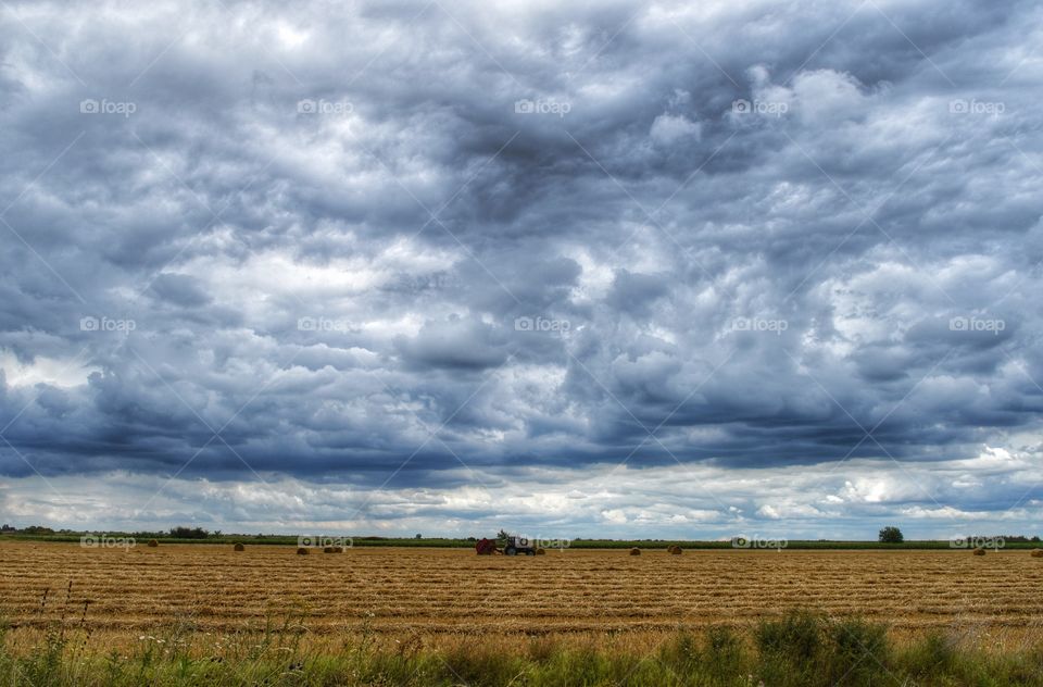 work  in  the  field