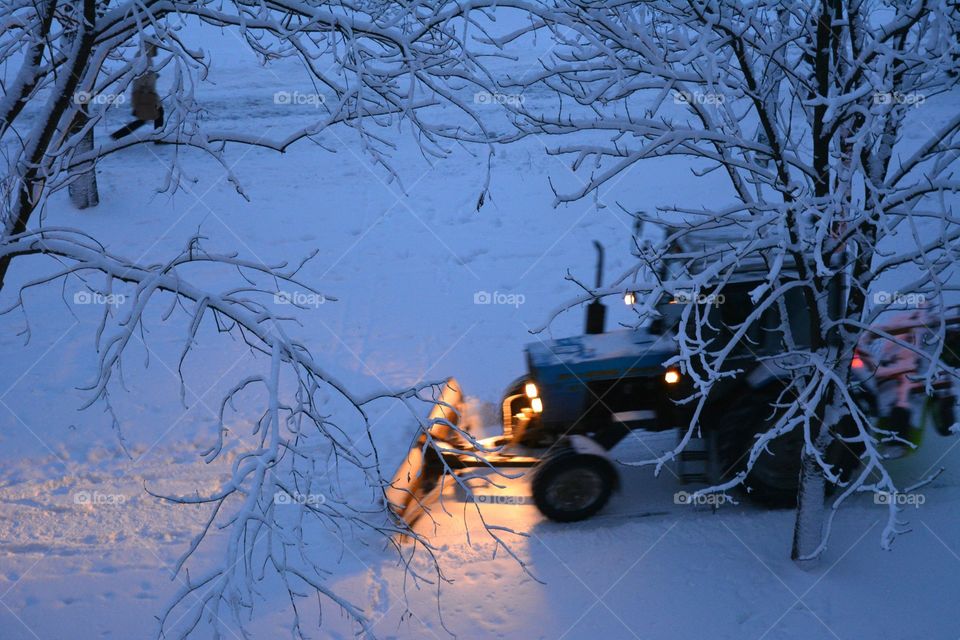 Winter, Snow, Tree, Cold, Frost