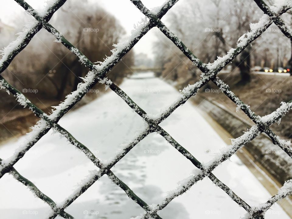 Wire fence