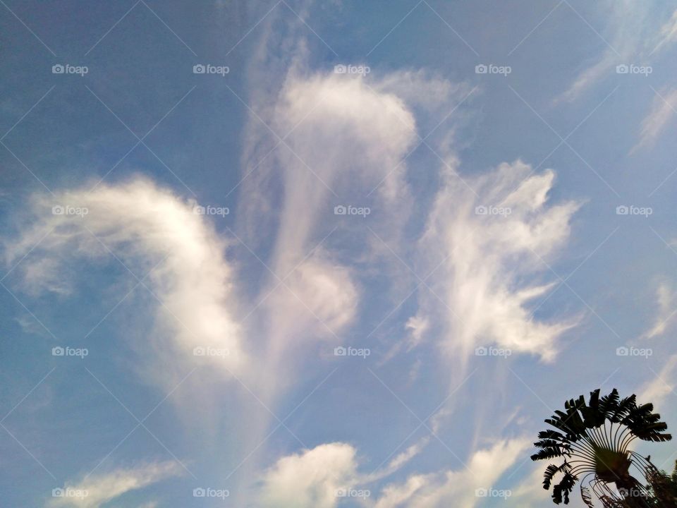 Three special clouds.