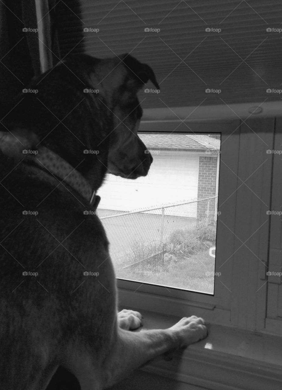 Even if it's rainy,  may I go play outside?