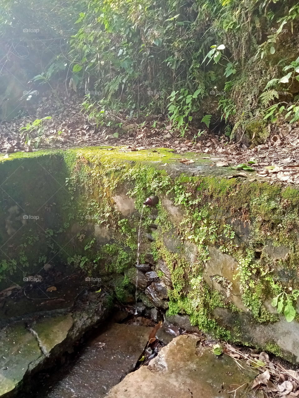Natural water stream - lifeline of the Uttarakhand villagers