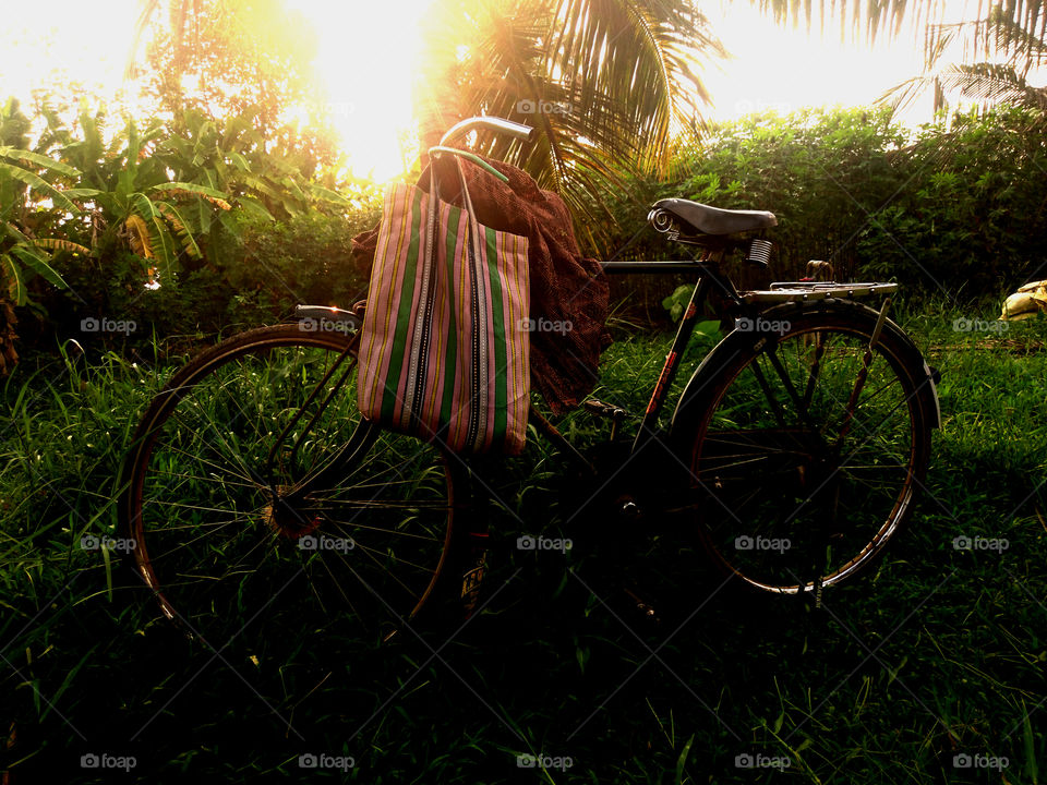 Wheel, Bike, Wood, Grass, Nature