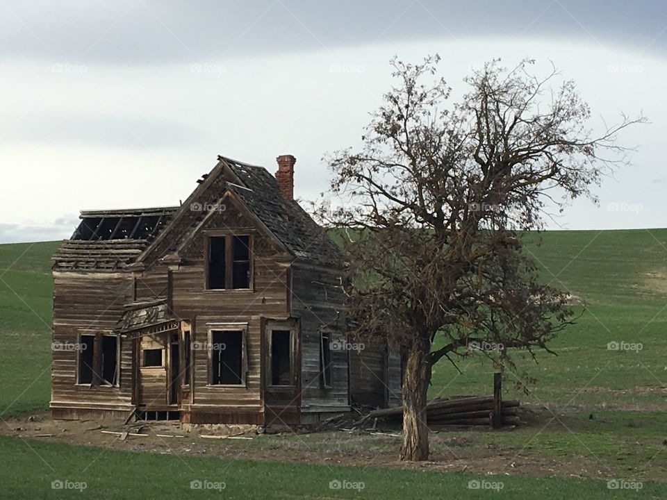 Abandoned farmhouse 