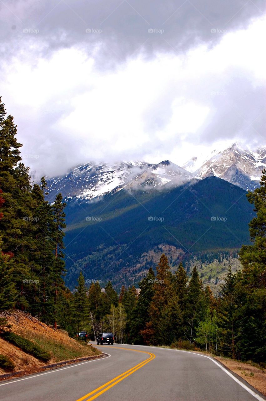 tree mountain group1 by refocusphoto