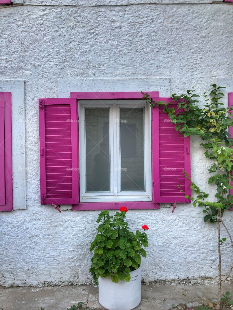 Pink windows from alacati