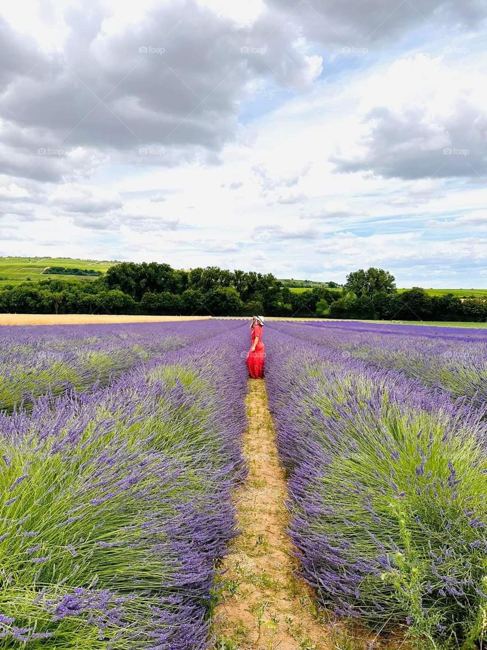 Lady in Red and Lavender