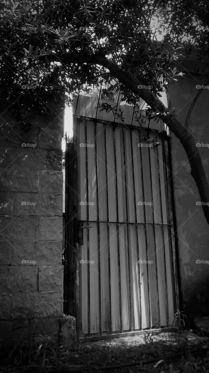 Old mystery place #old door design