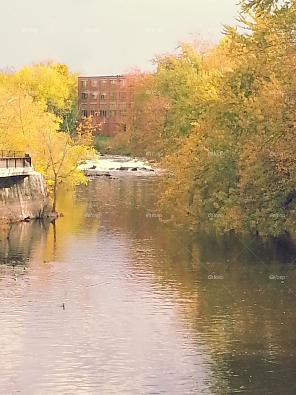 Autumn on the river