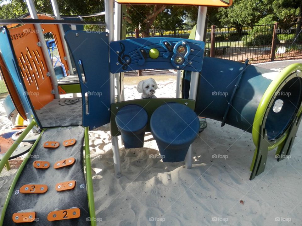 Playground