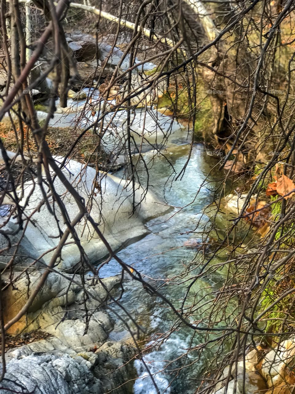 Nature Water Landscape - Fall in the Arizona Mountains at Madera, Canyon.