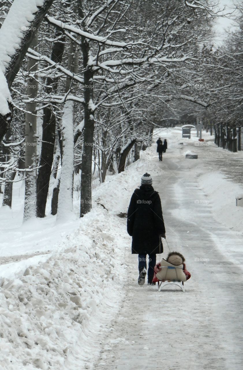 Snow, Winter, Cold, Ice, Frost