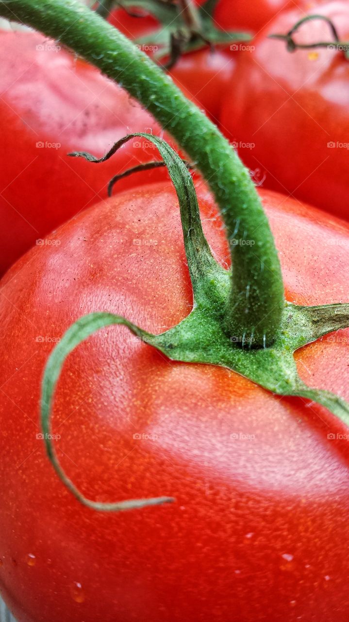 Healthy tomatos