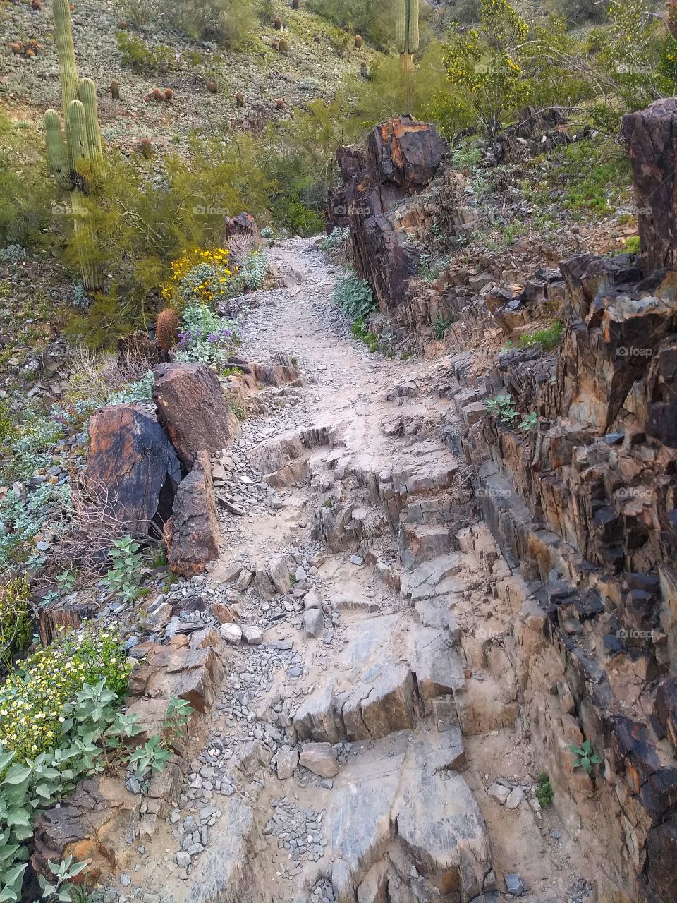 mountain trail rough