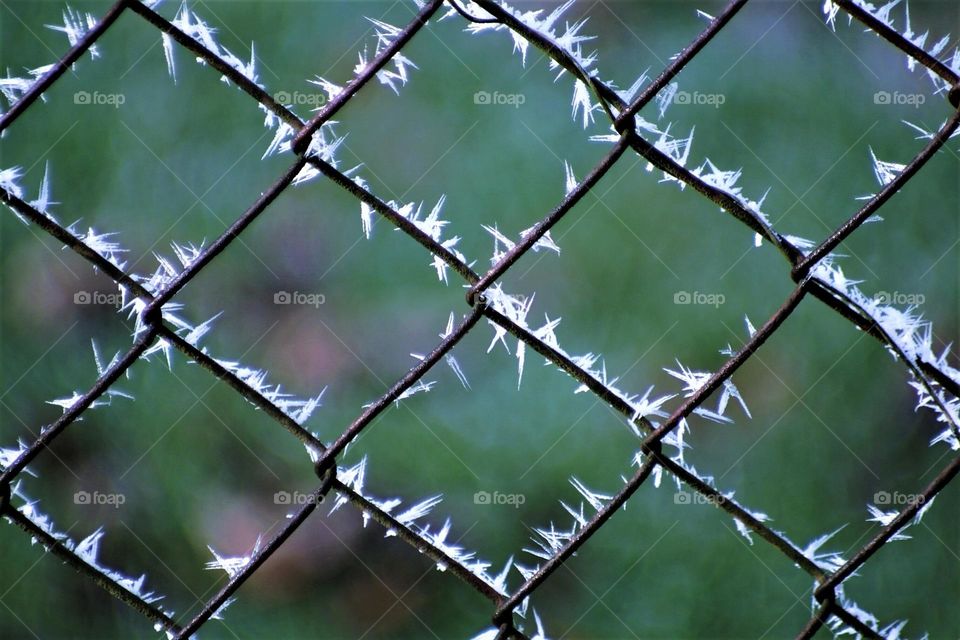 Frost am Zaun