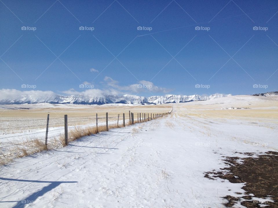 Just off the highway on my way to Fernie