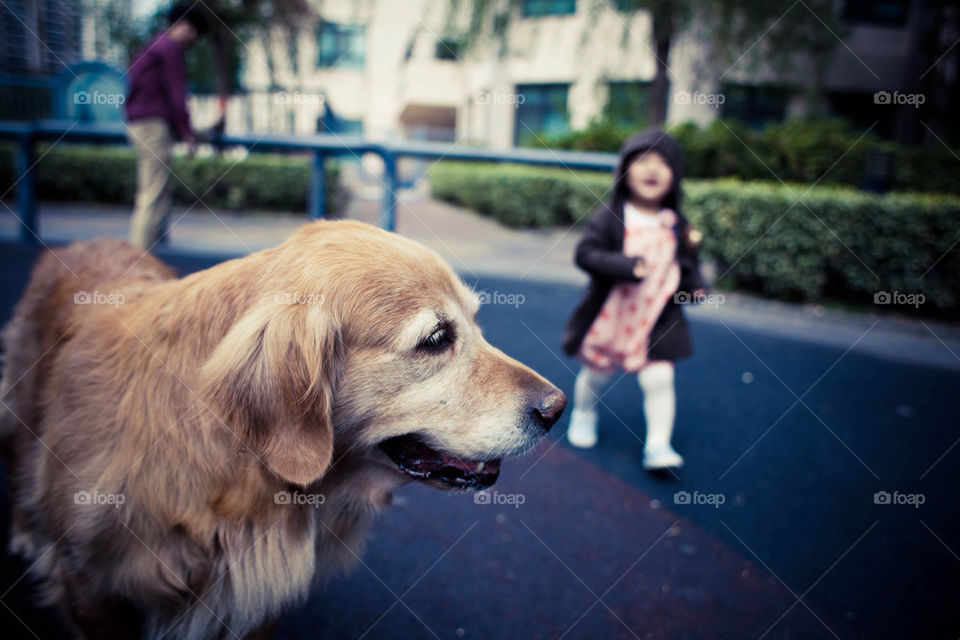 Dogs and kids are alike most of time and they could be very well with