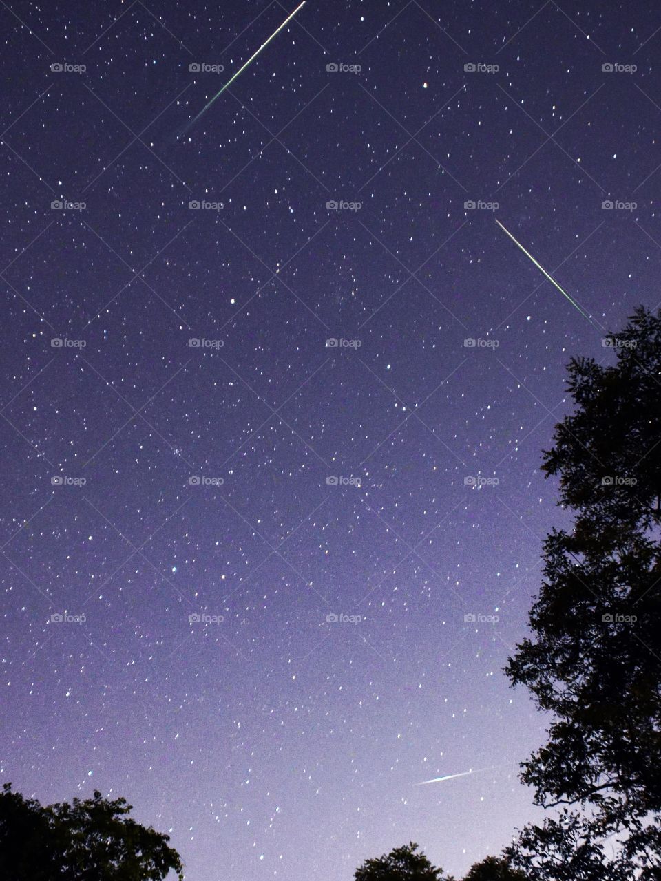 Perseid Meteor Shower August 2020