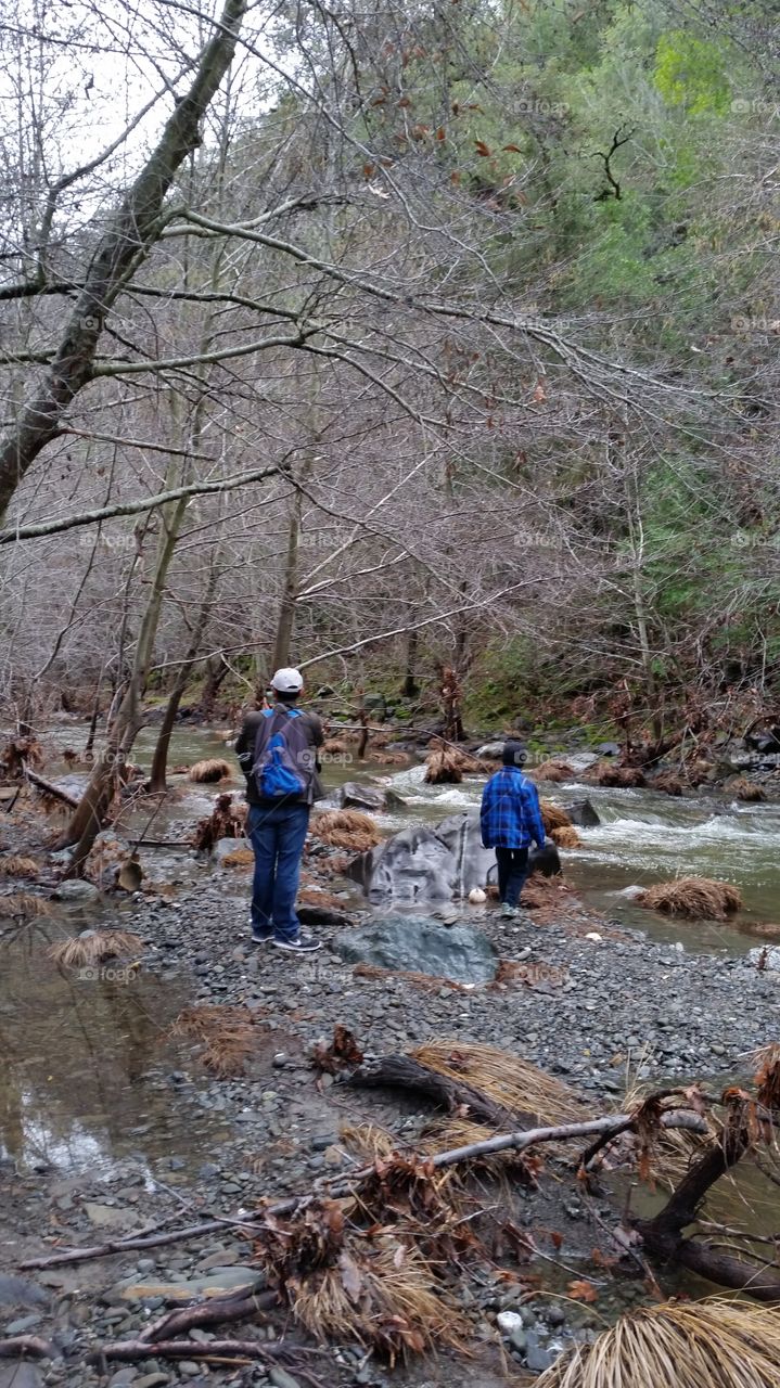 Man and child admiring nature while hiking along stream in forest