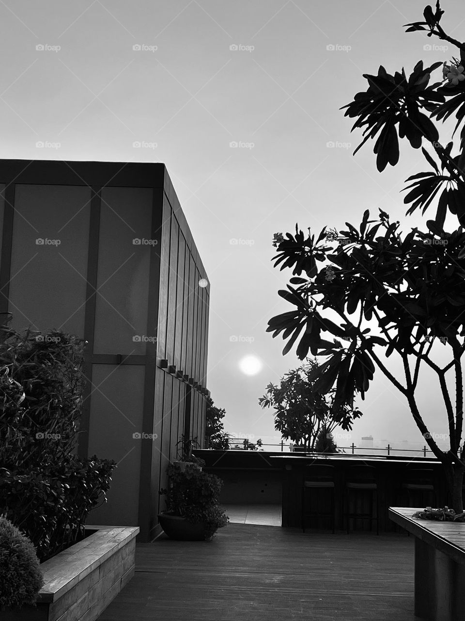 Architecture in Black & White