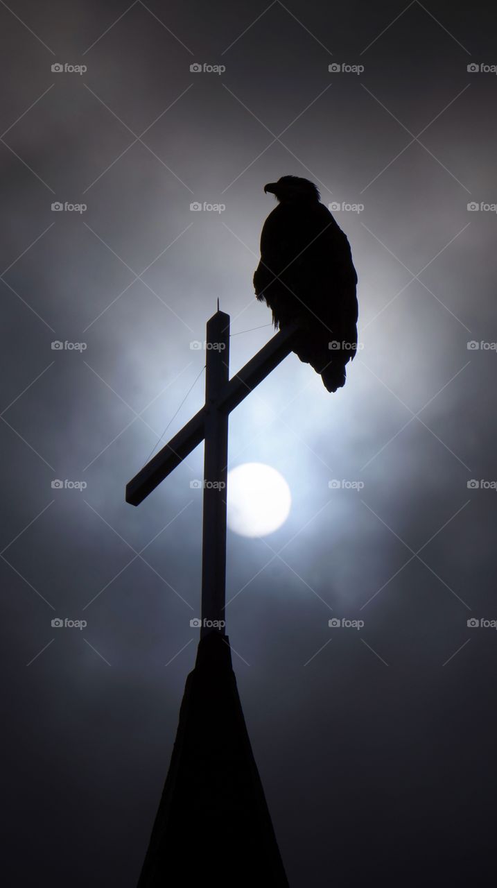 Silhouette of eagle perching on cross