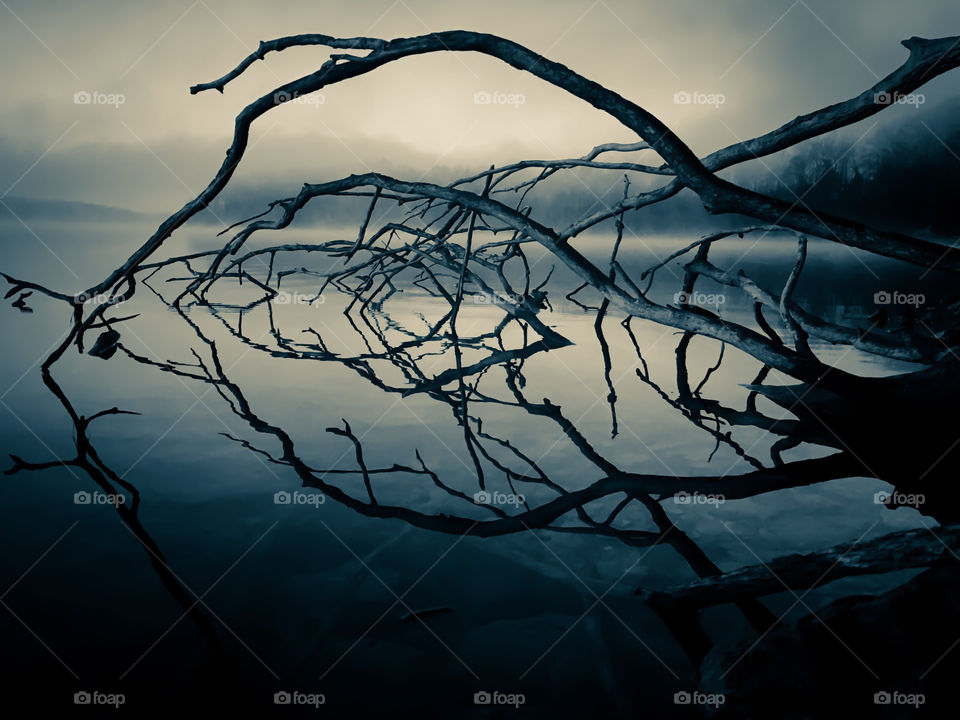 Blue selenium filter on a foggy morning scene at Tims Ford Lake in Winchester Tennessee. Has a fantasy feel. 