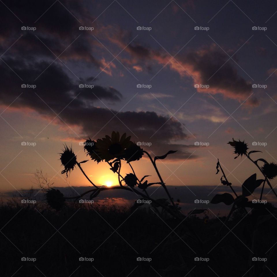 Dramatic sky during sunset