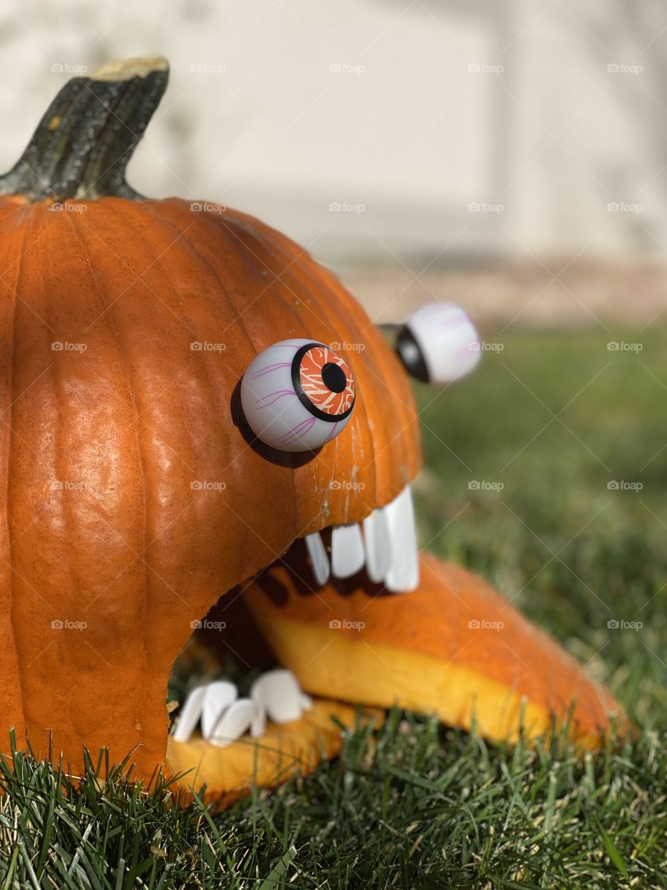 Not a scary pumpkin...It is scared itself!