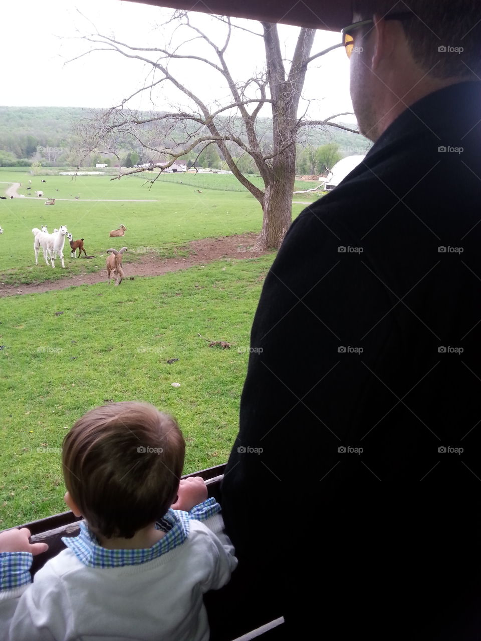 faster and son and animals