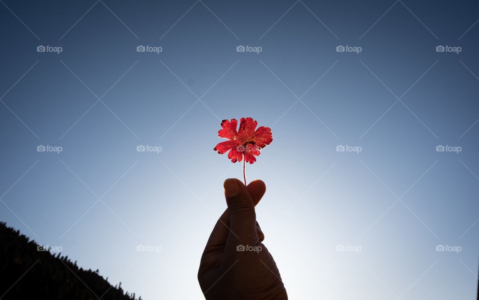 Mini heart on the blue sky