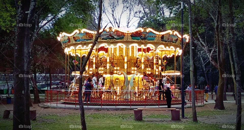 carrusel iluminando el bosque.