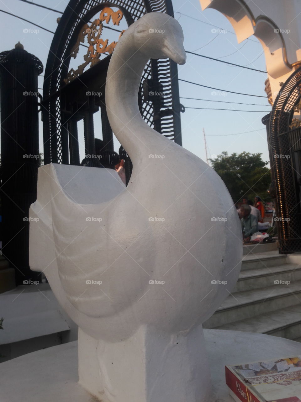 swan statchu